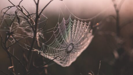 how to make customers sticky