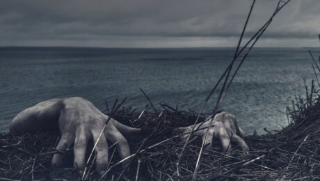 small business fairytale