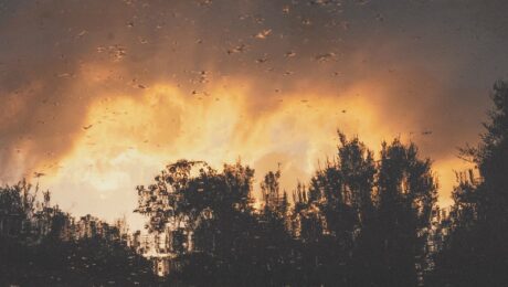 climate chanage amazon fires