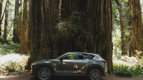 Simon Reeve Climate Change The Americas