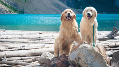 print technology partner