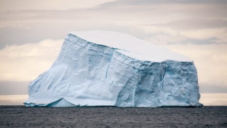 icebergs