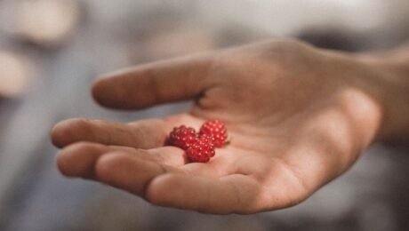 pick three randi zuckerberg