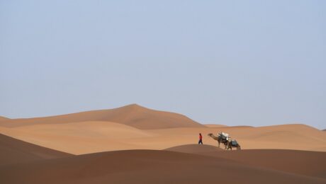 sahara desert