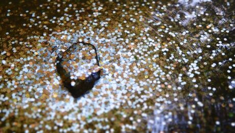 revenue stream wishing well