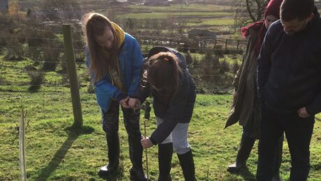 family planting trees