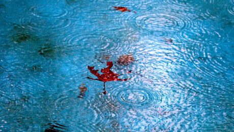 raining printer cartridges