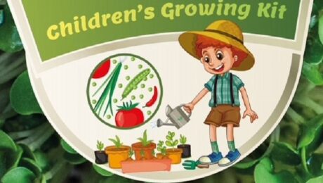 children growing kits