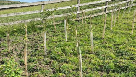 refurbished technology