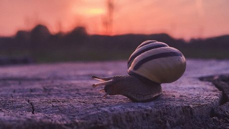 business slow towards christmas