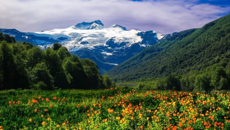 office technology meadows farm