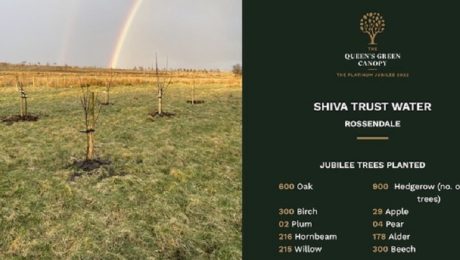 Shiva Trust Queens Award tree planting queens approval