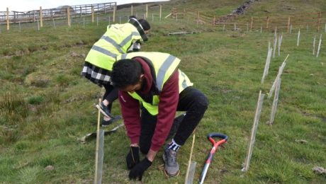 Tree planting 5 paper tree