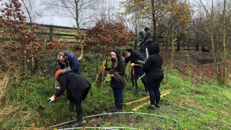 office technology tree planting